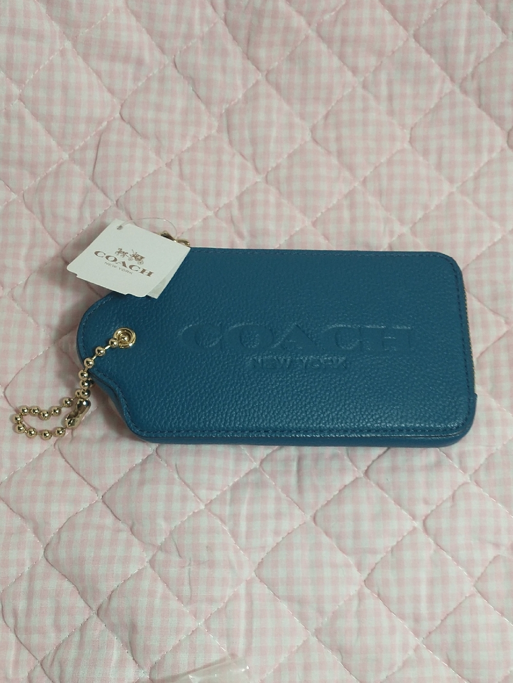 Coach Multifunctional Teal Pouch
